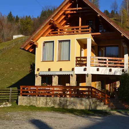 Pensiunea Dor De Munte 3* Μπραν