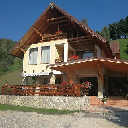 Pensiunea Dor De Munte 3*